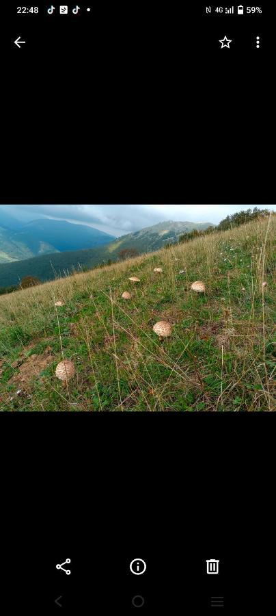 Degli Alessandri House Sassoferrato エクステリア 写真